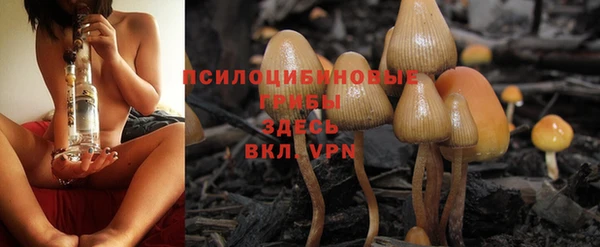 меф Арсеньев