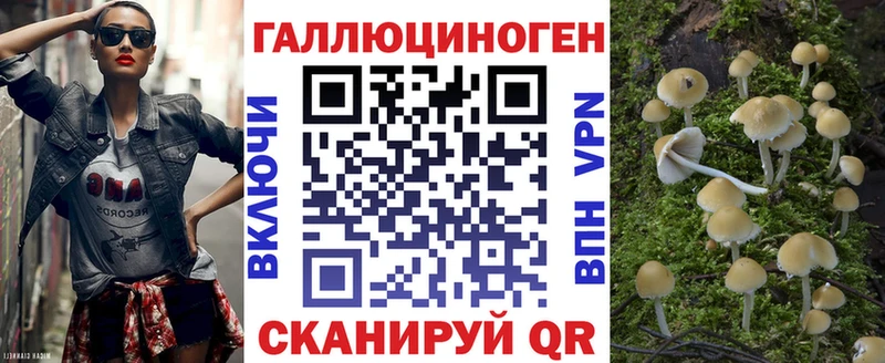 Купить закладки  Фрязино  Псилоцибиновые грибы GOLDEN TEACHER 